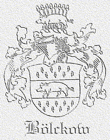 Familienwappen (Siebmachersches Wappenwerk)